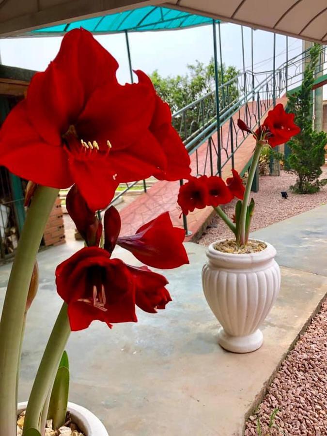 Rio Negro  Hotel Blumenpark מראה חיצוני תמונה